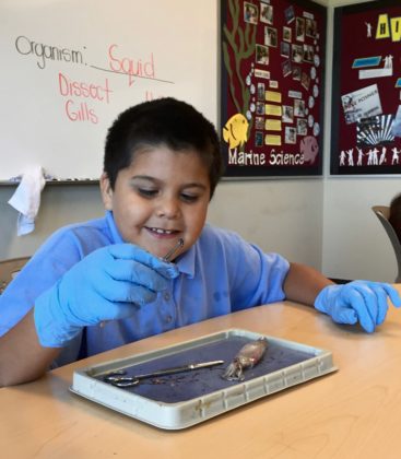 Tiger Woods Foundation's TGR Learning Lab students perform the same tasks like scientists do in the working world.