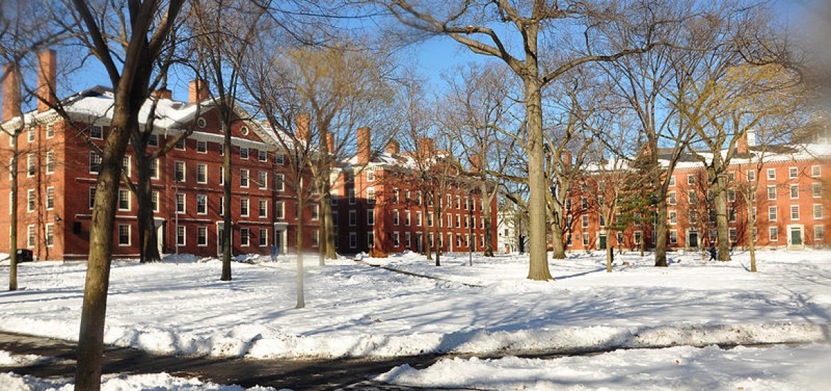 800px-Harvard_yard_winter_2009j