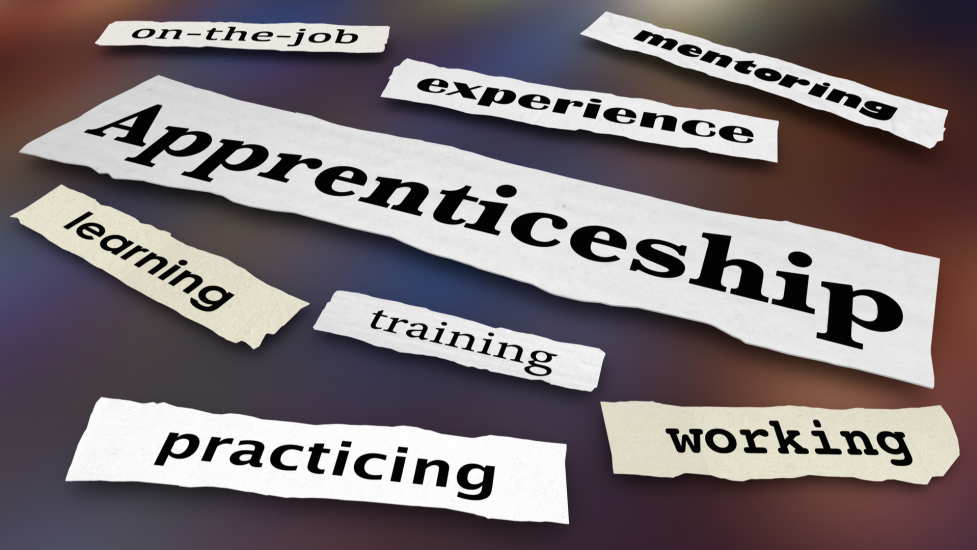 apprenticeship-language